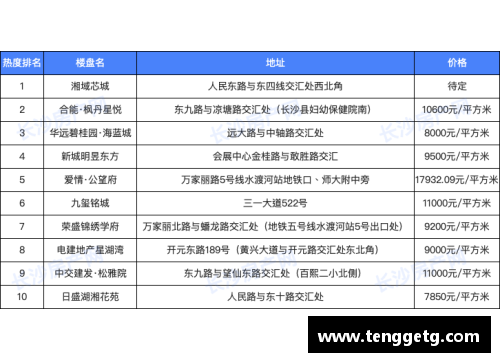 乐发lv官网足球球星转会市场揭秘购入热门球员的最佳策略与技巧